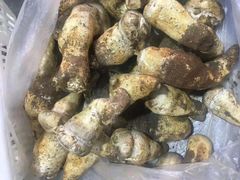 -菌之家·专业纯野生菌火锅·特色炒菌