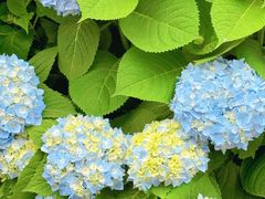 -长江文明馆