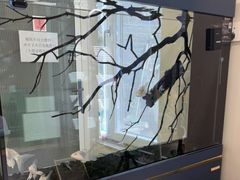 -伟伟宠物医院·CT影像中心·瑞派犬猫综合性门诊(汉口总院)