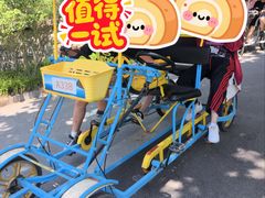 -日照海滨国家森林公园
