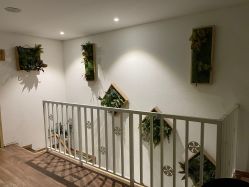 点击看大图 -薇薇安花系SPA