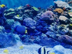 -成都浩海立方海洋公园