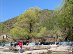 -双新垂钓园