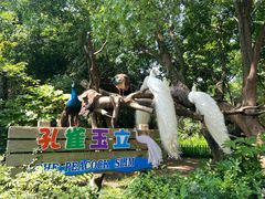 -宁波野生动物园