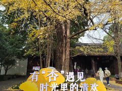 -三苏祠