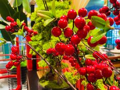 -禧鳳記·猪肚鸡火锅(玖洲道店)