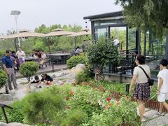 -蘇河湾·新鲁菜·泰山宴(泰山店)