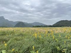 -大九湖