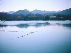 -苏堤停车场