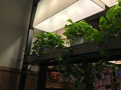 -肯德基(顺义光明大街店)