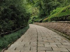 -竹子庵公园