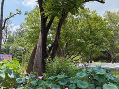 -云溪植物园