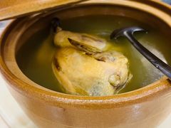 -黄山香茗国际酒店