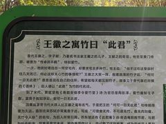 -中山市树木园