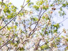 -观澜湖生态运动公社