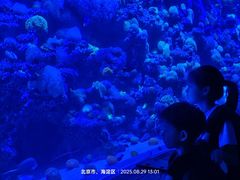 -太平洋海底世界