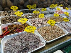 -星龙海鲜(望江东路店)