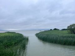 -苏州太湖湖滨国家湿地公园