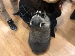 -藦茜花园宠物主题亲子互动体验馆(国顺东路店)