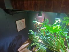 -邈墨茶馆(大兜路1号店)