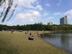 -新江湾城公园