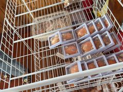 -蓝湾碧波·老字号·疍家非遗海上餐厅