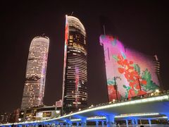 -演武大桥观景平台