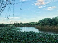 -上海市保健医疗中心(华东疗养院)