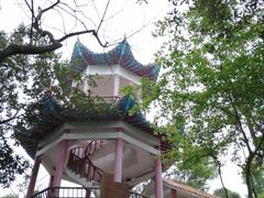 -天鹿湖森林公园