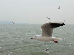 -苏州吴中太湖旅游区