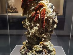 -浙江省博物馆(孤山馆区)