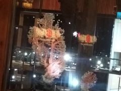 -绮丽珊瑚(台北101旗舰门市店)