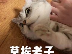 -炊烟小炒黄牛肉(中心印象城店)
