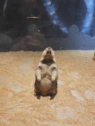 -酷嗒动物文化乐园(cutezoo西溪乐天城店)