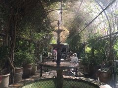 -The Grounds of Alexandria