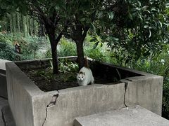 -西安市长乐公园