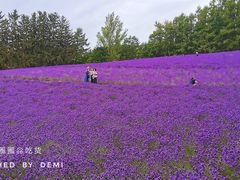 -富田农场