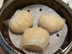 -糖朝(尖沙咀店)