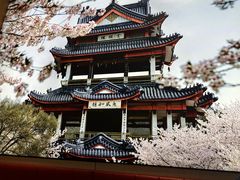 -蜜桃餐厅·伴山(绿宝广场店)