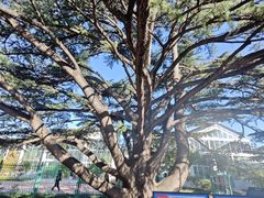 -国家植物园南园