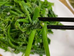 蒜蓉炒佛手瓜叶-粤友餐厅