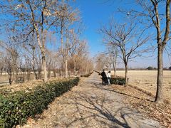 -嘉北郊野公园