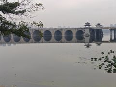 -武汉动物园