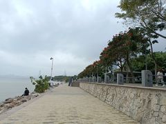 -深圳湾公园(南山区)