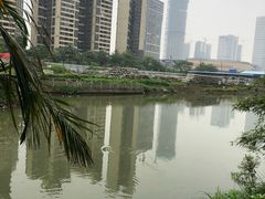 -绿雅居原生态农庄(小涌店)