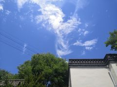 -白鹿原·白鹿仓
