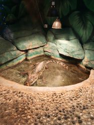 -未来动物城主题公园(正弘城店)