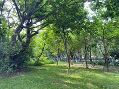 -燕晗山郊野公园