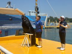 -秦皇岛乐岛海洋王国