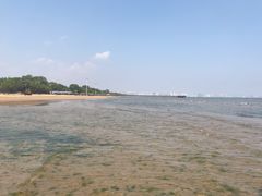 -北戴河东海水浴场